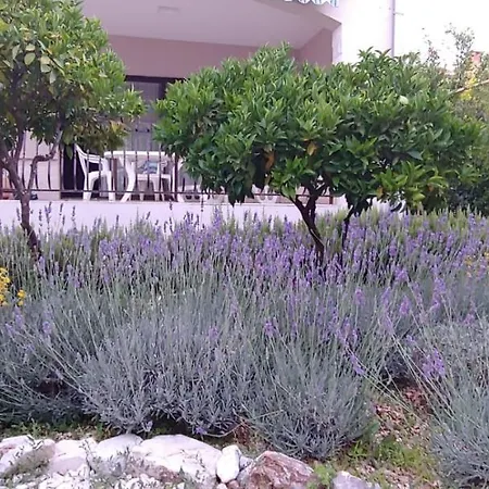 Ruzmarin Dom wakacyjny *