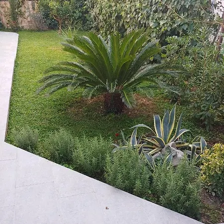 Сasa de vacaciones Ruzmarin Trogir