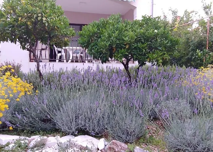 Ruzmarin Tatil Evi *